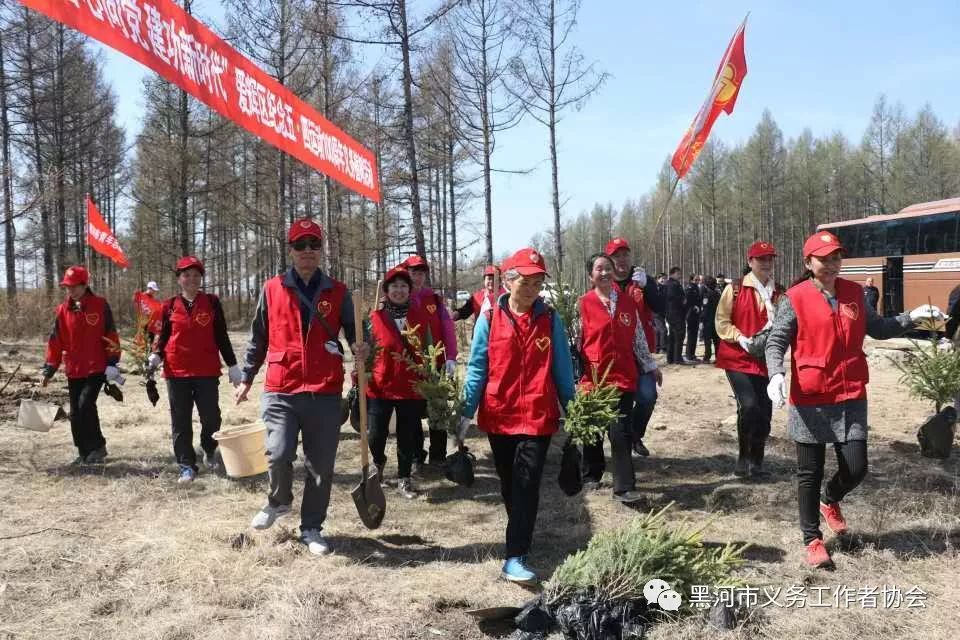 黑河市义工协会参加区政府组织的植树活动